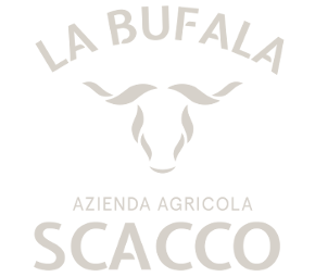Logo Scacco DEF 03 2